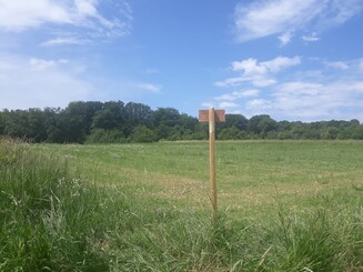 Pfosten aus Holz steht auf einem Acker mit Blumen