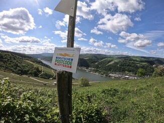 Logo der Deutschen Postcode Lotterie steht auf einem Holzpfahl in der Dörscheider Heide