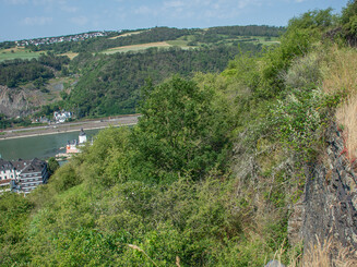 Weitblick in das Rheintal auf die Burg Kaub. Vorn rechts ein alter Schieferstollen.