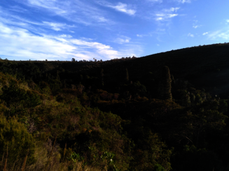 Letzte Reste noch intakten Hochlandregenwaldes wachsen in Ankafobe auf Madagaskar in einer Senke