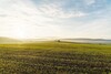 Ackerfläche bis zum Horizont