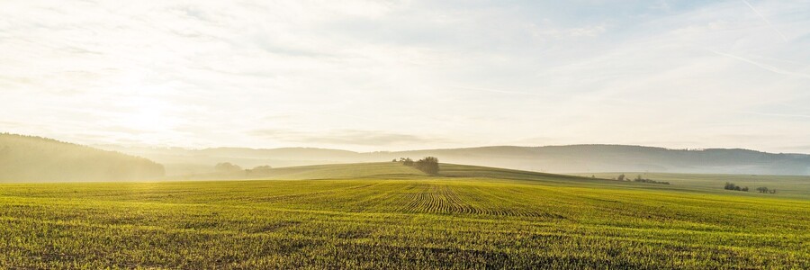 Ackerfläche bis zum Horizont