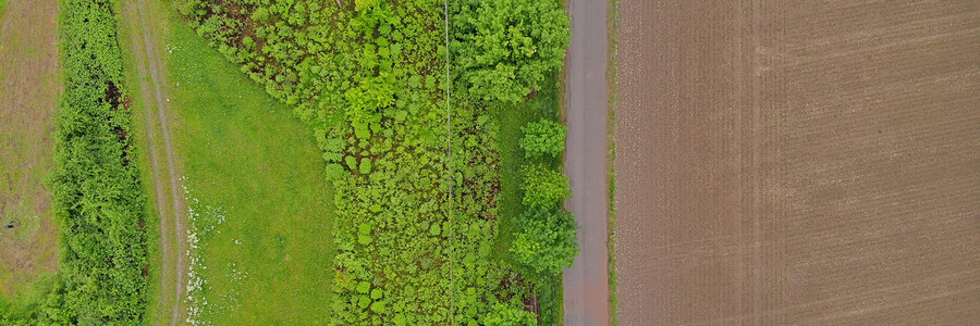 Feld, Straße und Natur aus der Vogelperspektive