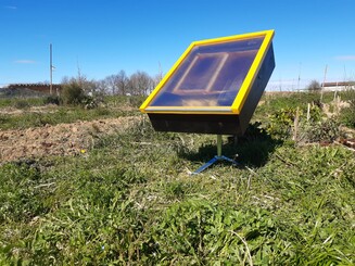 Sonnenwachsschmelzer steht auf einer Wiese in der Sonne