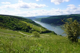 Sicht von der Dörscheider Heide auf das Mittelrheintal