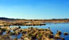 Panorama eines Hochmoors in der Sonne