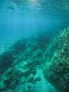 Sonnenstrahlen fallen ins Meerwasser