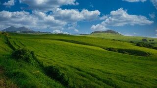 Graslandschaft