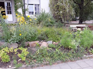 Bepflanzter Garten