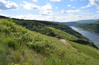 Dörscheider Heide