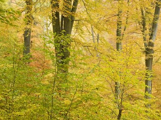 Herbst Hohe Schrecke