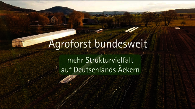 Hier klicken um Video zu starten.