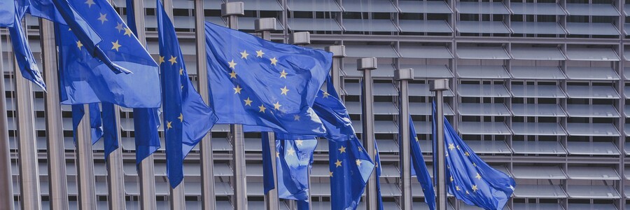 Europäische Flaggen vor Europaparlament