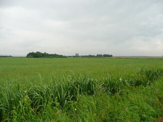 Hehneswiesen Ausblick