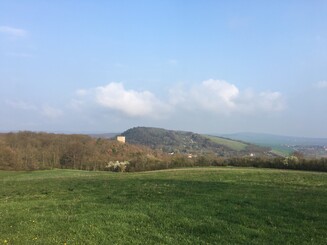 Mit Wildblumen bewachsener Acker in Kannawurf