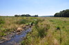 Niedermorr im Sonnenlicht