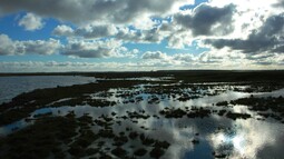 Verzweigtes Prielsystem der Insel Kirr in der Ostsee