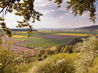 Hangblick Caldener Wald