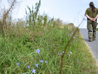 Mann läuft einen Feldweg neben Ackerfläche entlang