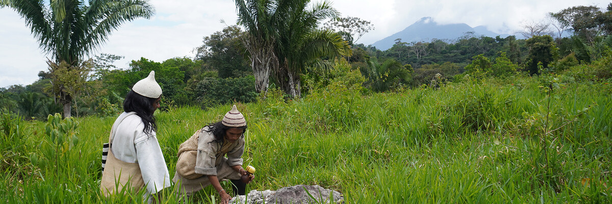 Zwei Kogi auf einer gruenen Flaeche in der Sierra Nevada de Santa Marta