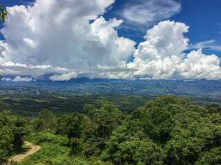 Regenwald in Costa Rica