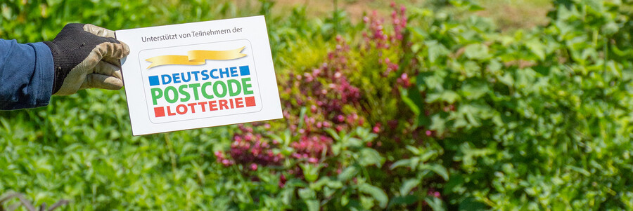 Unterschiedliche Pflanzen schaffen Strukturvielfalt