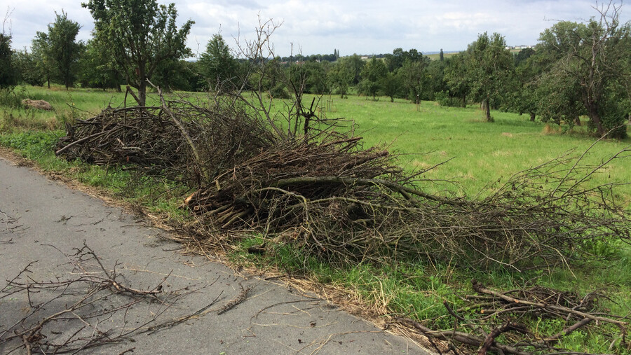 Zerkleinertes Holz liegt am Rande einer Streuobstwiese