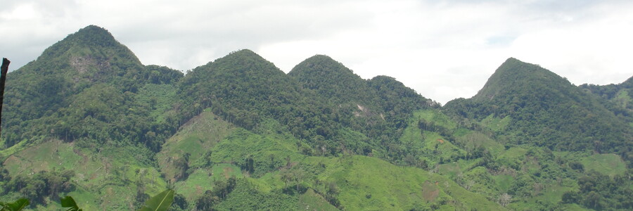 Mit Regenwald grün bewachsene Berge erstrecken sich in den Himmel