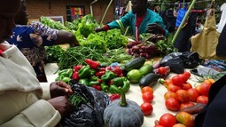 Bauer verkauft auf Markt sein frisches Gemüse