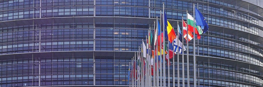 Flaggen der europäischen Ländern sind vor dem europäischen Parlament gehießt