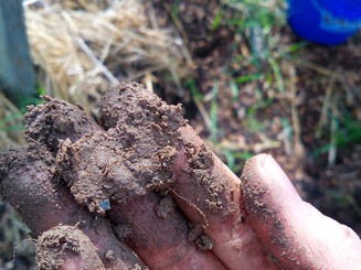 Entnommene Erde auf der aufgehaltenen Hand