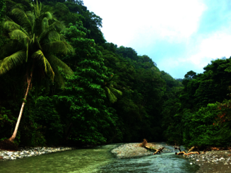 Fluss fließt durch dichten Regenwald in Costa Rica