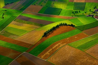 Die Landschaft der Monokulturen