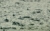 Regen fällt auf Wasser