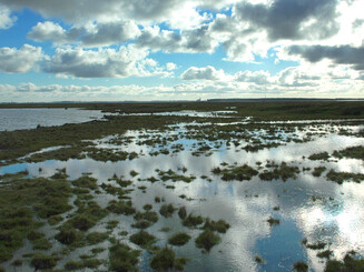 Blick auf das Feuchtgebiet der Insel Kirr