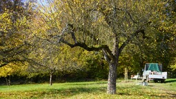 Transporter der Naturschutzorganisation Naturefund steht auf einer Streuobstwiese