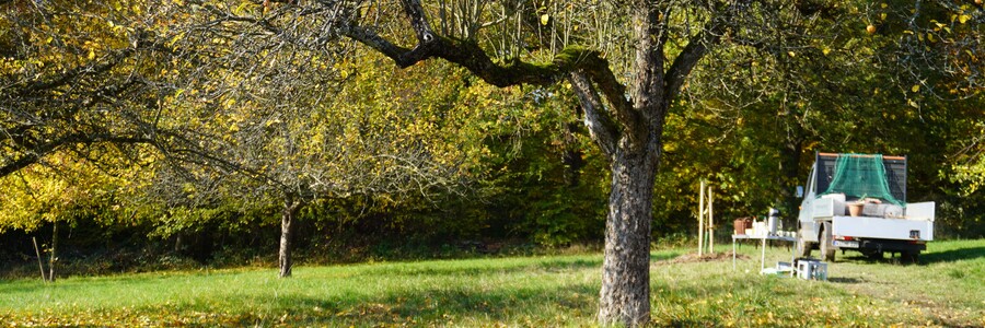 Transporter der Naturschutzorganisation Naturefund steht auf einer Streuobstwiese