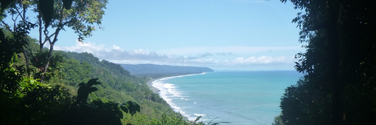 Ausblick auf Regenwald der an Meer grenzt