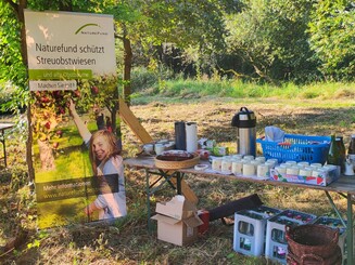 Streuobstaktion durchgeführt von der Naturschutzorganisation Naturefund auf einer Streuobstwiese in Wiesbaden