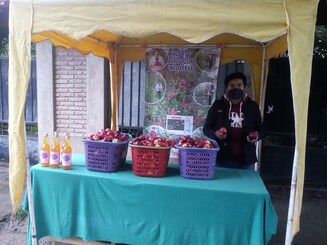 Mann verkauft Äpfel auf einem bolivianischen Markt