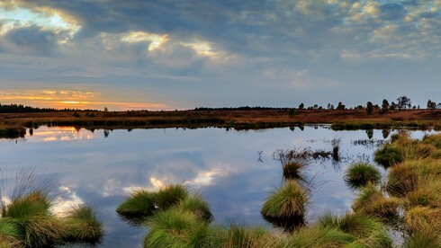 Panorama eines Hochmoors im Abendlicht