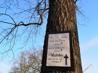 Aktionsplakat gegen Misteln hängt an Baum