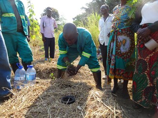 Bäume werden in Malawi auf einer Parzelle gepflanzt