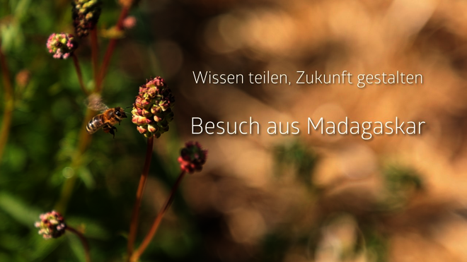 Hier klicken um Video zu starten.