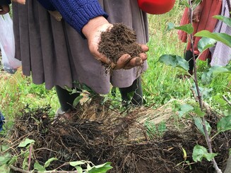 Frau hält fruchtbare braune Erde in ihren Händen
