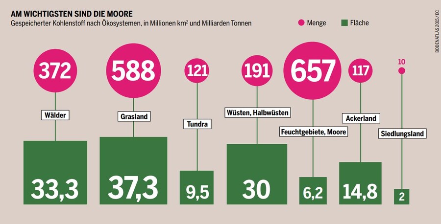 Vergleich der CO2-Speicherfähigkeit nach Ökosystem-Typen