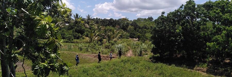 Dicht bewachsene Dynamische Agroforst Parzellen erstrecken sich hinter Grasflächen auf Madagaskar