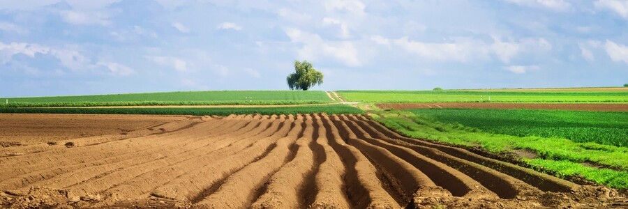 Kahle Ackerfläche zieht sich bis zum Horizont