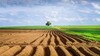Kahle Ackerfläche zieht sich bis zum Horizont
