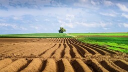 Kahle Ackerfläche zieht sich bis zum Horizont